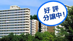 広告例 : 大規模開発マンション